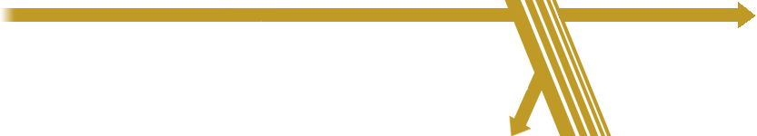 logo 13